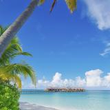 4 Sterne Hotel: Angaga Island Resort & Spa, Alif Dhaal Atoll, Ari Atoll (Nord & Süd)