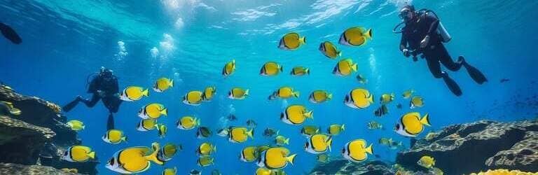 Tauchen und Schnorcheln mit Wildtieren