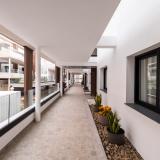 Coral Cotillo Reef, Bild 9