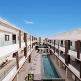 Coral Cotillo Reef, Bild 7