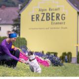 3 Sterne Hotel: Erzberg Alpin Resort by ALPS RESORTS, Eisenerz, Steiermark