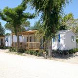 3 Sterne Familienhotel: Club del Sole - Marina Camping Village, Punta Marina, Emilia-Romagna