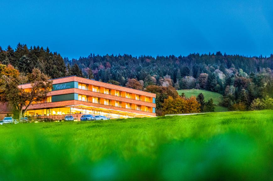 4 Sterne Hotel: Fritsch am Berg - Adults Only - Lochau, Vorarlberg