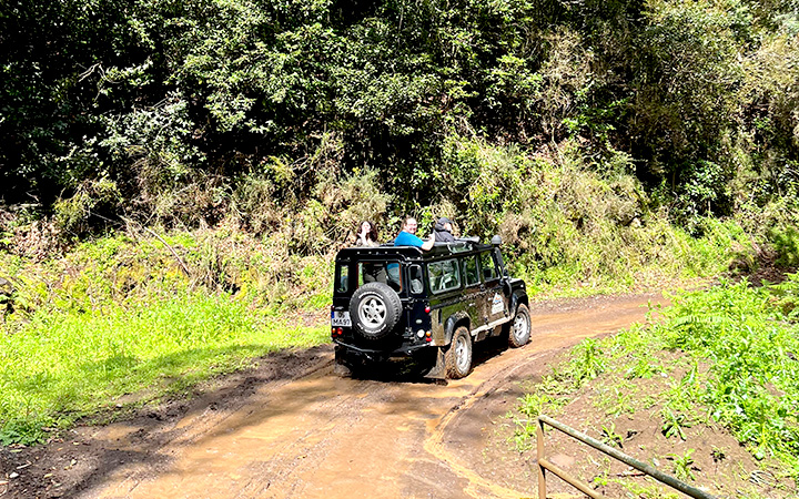 Unterwegs auf Madeira