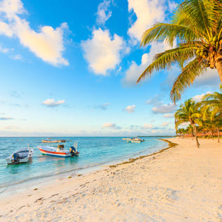 Bild zu Akumal